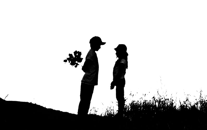 Şekil 4 - Modeller hazır