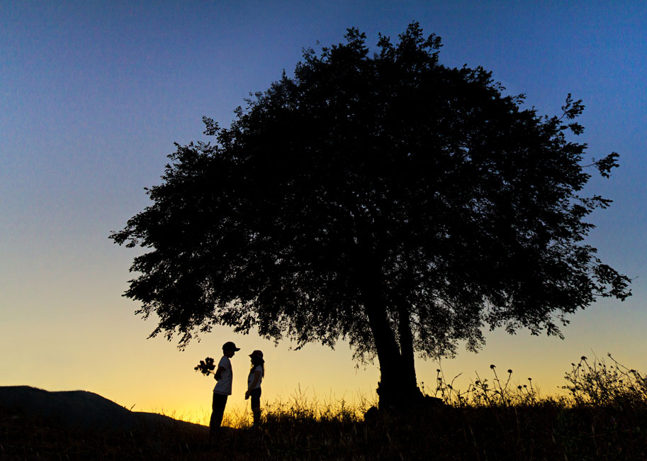 Şekil 6 - Nihai fotoğraf